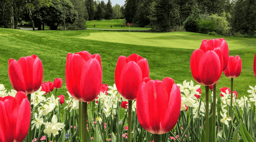 spring-clean-your-golf-business